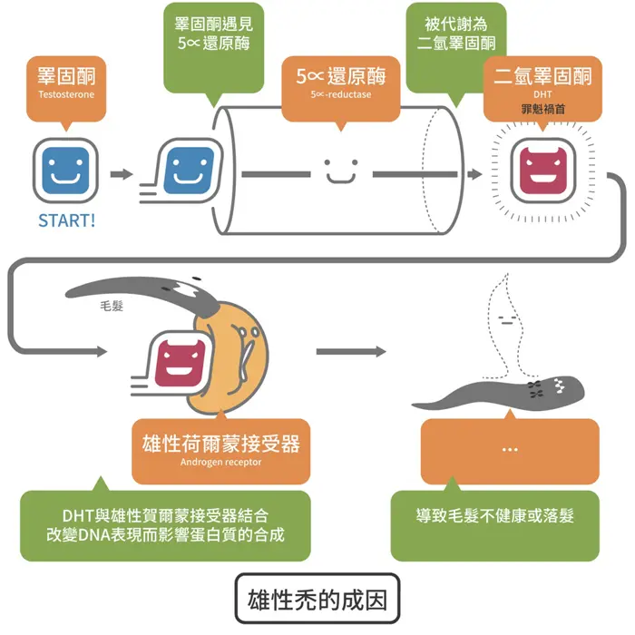 Propecia vs Dutasteride比較